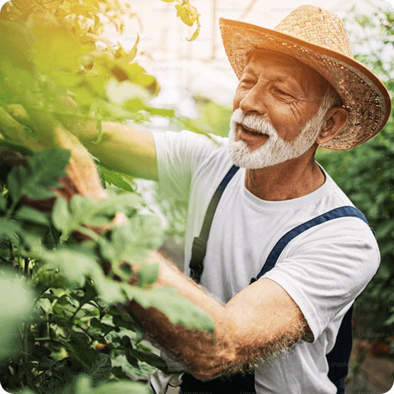 Indian farmers working in fields